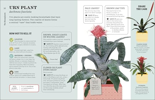 How Not to Kill Your Houseplant New Edition: Survival Tips for the Horticulturally Challenged - Image 5
