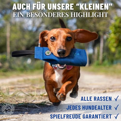 GIZZY® DAS ORIGINAL I Futterdummy Hunde I Robuster Hunde Futterbeutel für alle Rassen I Dummy Hundetraining mit Leckerlies - Die Erziehungshilfe für Hunde I Futterbeutel Hundetraining - Hunde Zubehör