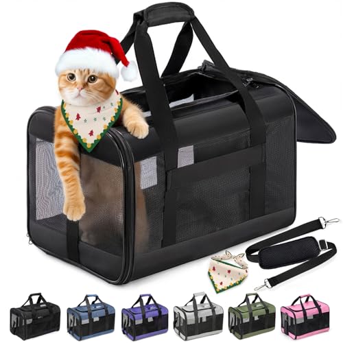 Conlun Katzenboxe Flugzeugtauglich, Weichseitige Hundetransportbox mit Innenleine, Transport für kleine bis mittelgroße Katzen und Welpen bis 7 kg,...