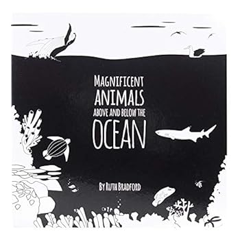 Hardcover Magnificent Animals from Above and Below the Ocean: The Little Black & White Book Project Book