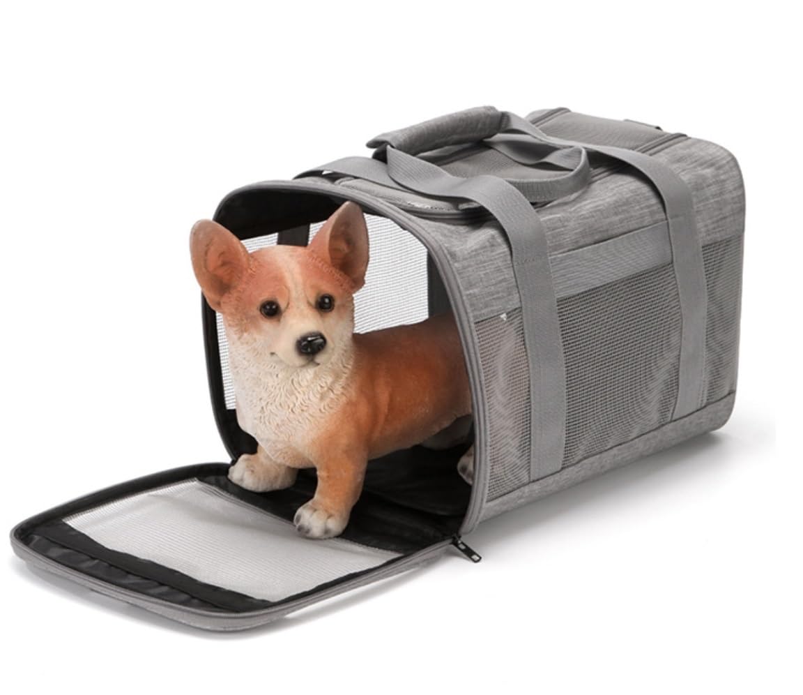 Zaino Animali Zaino per Animali Domestici Custodia per Fori di Ventilazione Trasparenti Comodo Portatile per Cani E Gatti da Viaggio Animale(A)