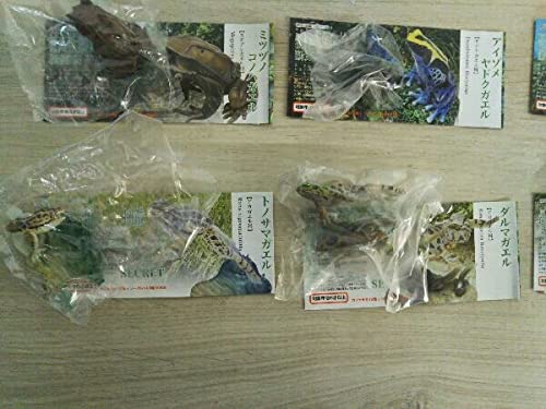 Amazon | ユージン 原色両生類カエル図鑑 新改訂版 全15種セット