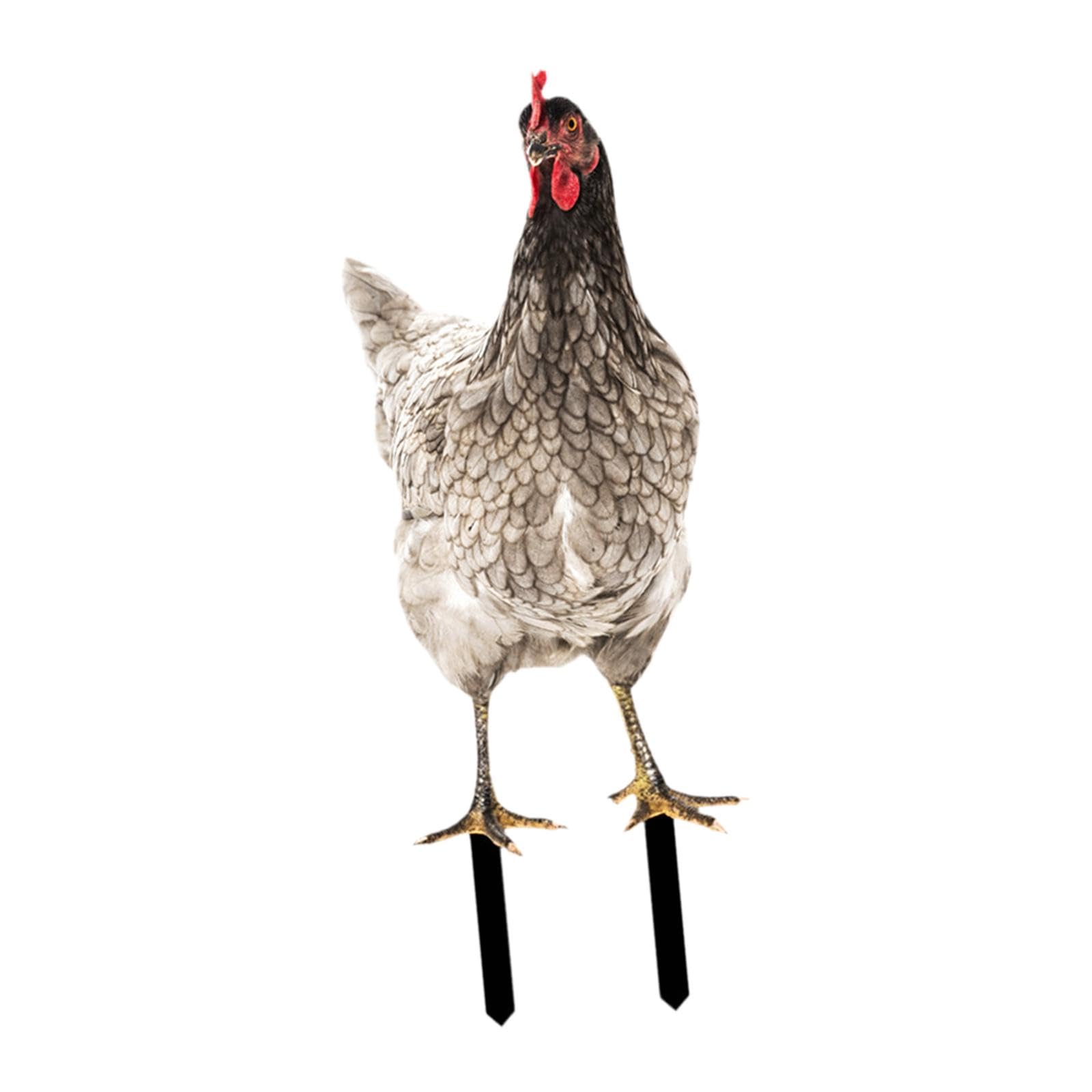 The Style SutraChicken Garden Statue Stake Hen Lawn Ornament Gift Outside Rooster Yard Arts Style E | Yard, Garden & Outdoor Living |1 Chicken Garden Statue Stake-image-46