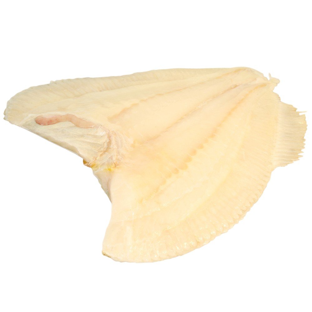 Turbot Fillets, Fresh, From a Whole 1-2kg Fish