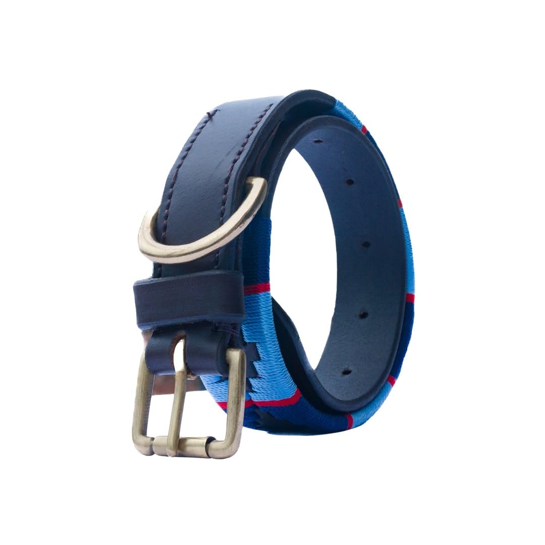 Vaibhavi Genuine Leather Polo Dog Collar with Metal Buckle Waxed Embroidered Soft and Durable Leather Collars Adjustable for Large Dogs (Turquoise and Blue, Medium)