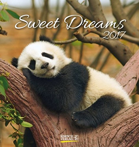 Sweet Dreams 2017 Postkartenkalender: aufstellbarer Postkartenkalender