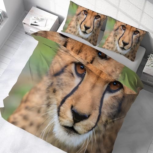 zcJo[Zbg _u 3_Z  QJo[ZbgzcJo[|GXe100 DG _炩 ʋC ^Cvh_jlGʗp(170x210cm)2 Jo[(43x63cm)