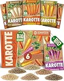 ZenGreens® - Bio Karottensamen im 6er Set - 6 Karotten Samen für den einfachen Anbau im Garten, Balkon oder Hochbeet - Pflanzensamen - Saatgut