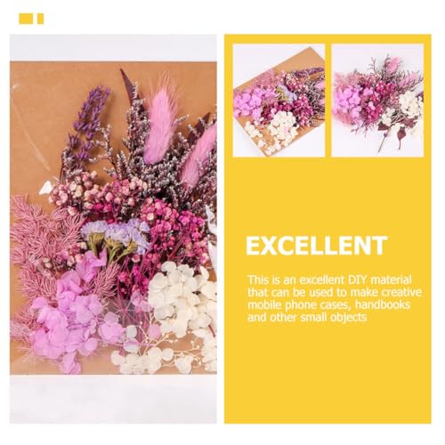 Ipetboom paquete de flores secas para manualidades miniatura 7