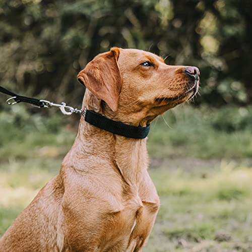 Herm Sprenger Hundehalsband-Abdeckung aus Nylon für kleine, mittelgroße und große Hundehalsbänder, strapazierfähiger Schutz für Hundehalsband, 39,6 cm, Schwarz