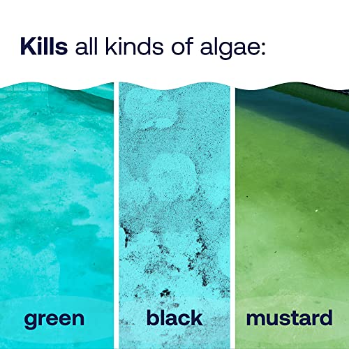 Image of HTH 67089 Swimming Pool Care Algae Guard Ultra, Swimming Pool Chemical, Long Lasting Formula, 32 fl oz