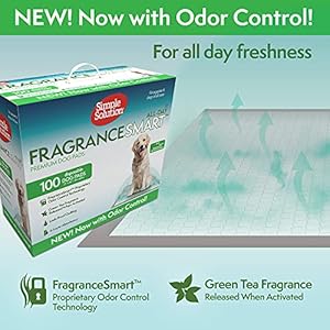 Simple Solution FragranceSmart™ Odor Control All Day Pads | Green Tea Fragrance Odor Neutralizer with Wetness Indicator | 100 ct