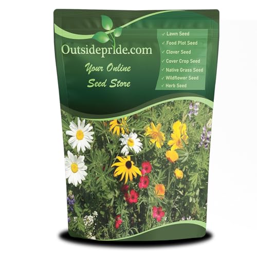 Outsidepride Northwest Wild Flower Seed Mix - 1 lb Premium Blend of Annual & Perennial Wildflower Seeds for Northwestern States - Ideal for Attracting Pollinators, Perfect for Garden Displays