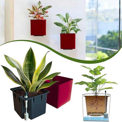 Image of Indian Discovery Self Watering Wall Hanging Planter|Hanging /Hooked Flower Pots for Home, Balcony, Vertical Garden Decor Flower Pots(1 PC, Maroon, Square) |6 Inch UV-Resistant Plastic Plant Pots