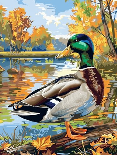 G hGLbg 40x50cm t[t Paint by Numbers DIY lq hANG̋&uVZbg ҃bNX| ȒPJ[LoXG XgXz[fRAIVh