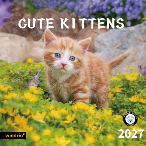 Cute Kittens 2026-2027 Wall Calendar