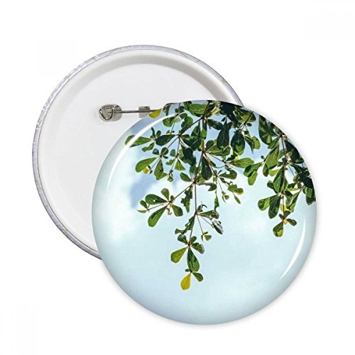 Badge bouton feuilles vertes et ciel bleu lot de 5 broches taille M multicolore pour vêtement