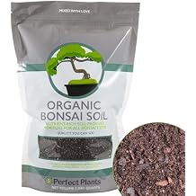 Bonsai Soil by Perfect Plants - 2qts. | Premium All-Purpose Mix Bonsai Tree Varieties