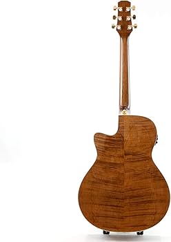 Amazon | MORRIS R-021 TS (タバコサンバースト) エレアコギター