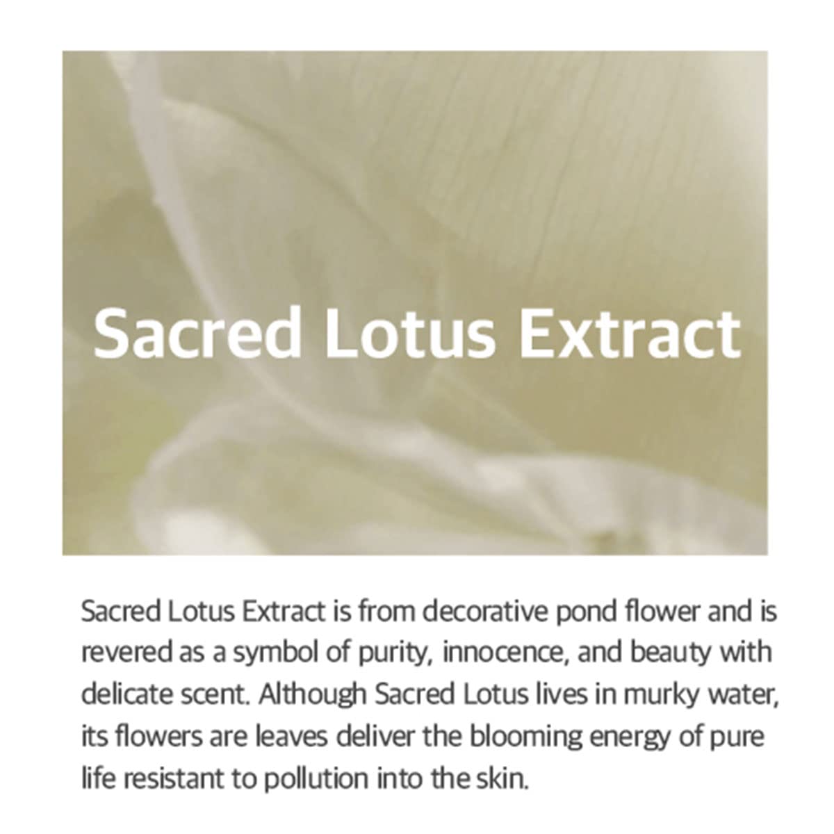 Mixsoon Lotus Flower Essence 100 ml