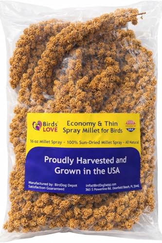 Birds LOVE Millet Tips & Tails for Birds - Parakeets, Cockatiels, Lovebirds, Finches, Budgies, Canaries, Cockatoos - Natural & Healthy Millet for Birds - Parakeet Food & Treats for All Parrots, 1lb