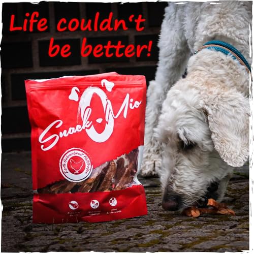 SnackOMio – Premium Hundesnack – saftige Entenbrust Filetstreifen, getreidefrei, 1er Pack (1 x 500g)