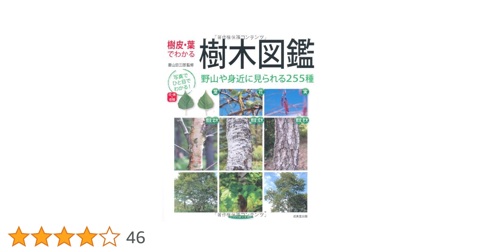 樹皮の文化史 樹皮の文化史 Amazon.co.jp: 樹皮の文化史 (歴史文化