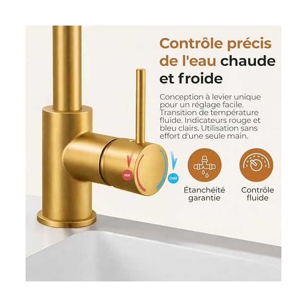 MELTA. Robinet Cuisine Pivotant 360° – Mitigeur Évier Arc Élevé en Acier Inoxydable, Robinet Cuisine avec Levier Unique, Robinet Évier Cuisine Moderne, Installation Facile (OR BROSSÉ)