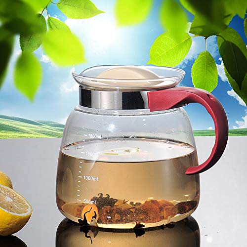 Lantelme 6109 Teiera in vetro da 1,25 litri, con