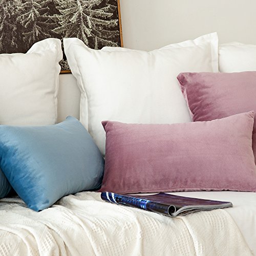 Image of MIULEE Velvet Throw Pillow Covers 12x20 Inch, Pack of 2 - Light Blue, Soft Solid Lumbar Decorative Pillow Covers Modern Luxury Home Decor for Spring Couch Sofa Bedroom Livingroom