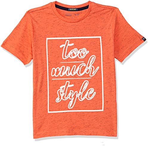 Image of Indian Terrain Boy's Regular fit T-Shirt