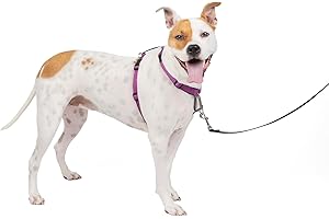 PetSafe 3 in 1 No Pull Dog Harness: The Ultimate Comfort and Control Solution