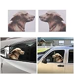 Window Stickers Left
