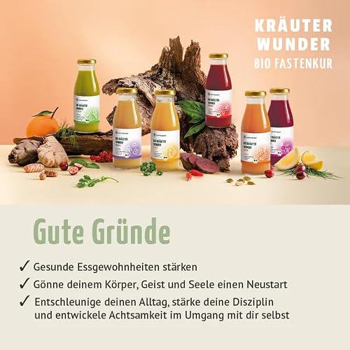 Foto von Kräuterwunder 1-Tages-Fastenkur Bio | 6 Flaschen | die erste Fastenkur auf Kräuterbasis | Bio Qualität | vom Achterhof