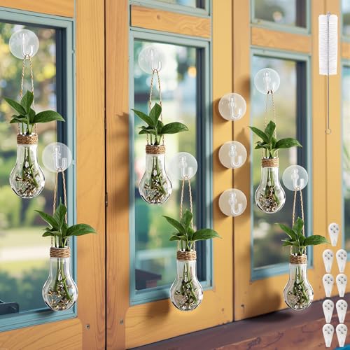 Baderke 9 Sets 3.94" Plastic Window Propagation Stations Hanging Propagation