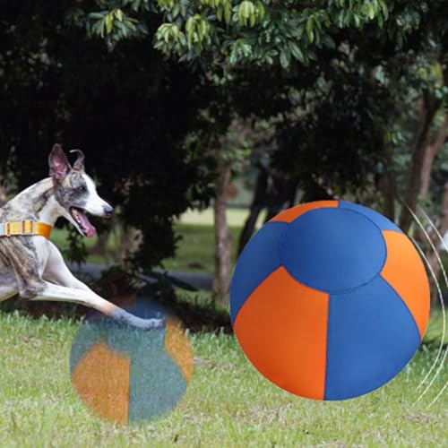 Balle interactive pour chien en caoutchouc robuste et gonflable