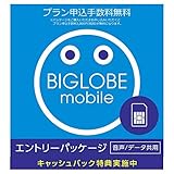 【申込手数料3,300円(税込)が不要】 BIGLOBEモバイル 格安SIM エントリーパッケージ