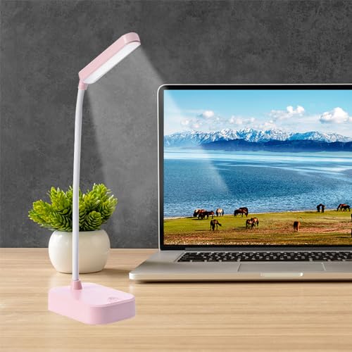 Bovmics Portable Desk Lamp, Battery & USB Powered, Adjustable Gooseneck, Touch Control, Eye Protection, Pink