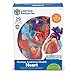 Learning Resources Human Heart Model, Working Heart Model, Anatomy for Kids, Human Body Heart Model, Educational Model, Ages 8+