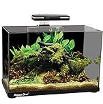 AquaOne Focus 36 Glass Aquarium 36L 50x25x36cm Black