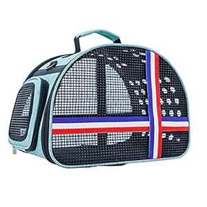 Poreuze mesh huisdier draagtas kationisch linnen kat en hondentas schouder messenger outing box kooi vier kleuren beschikbaar (Color : Blue)