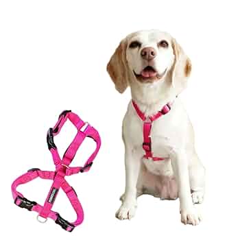 獣犬の下顎手のひらサイズ 獣犬の下顎手のひらサイズ