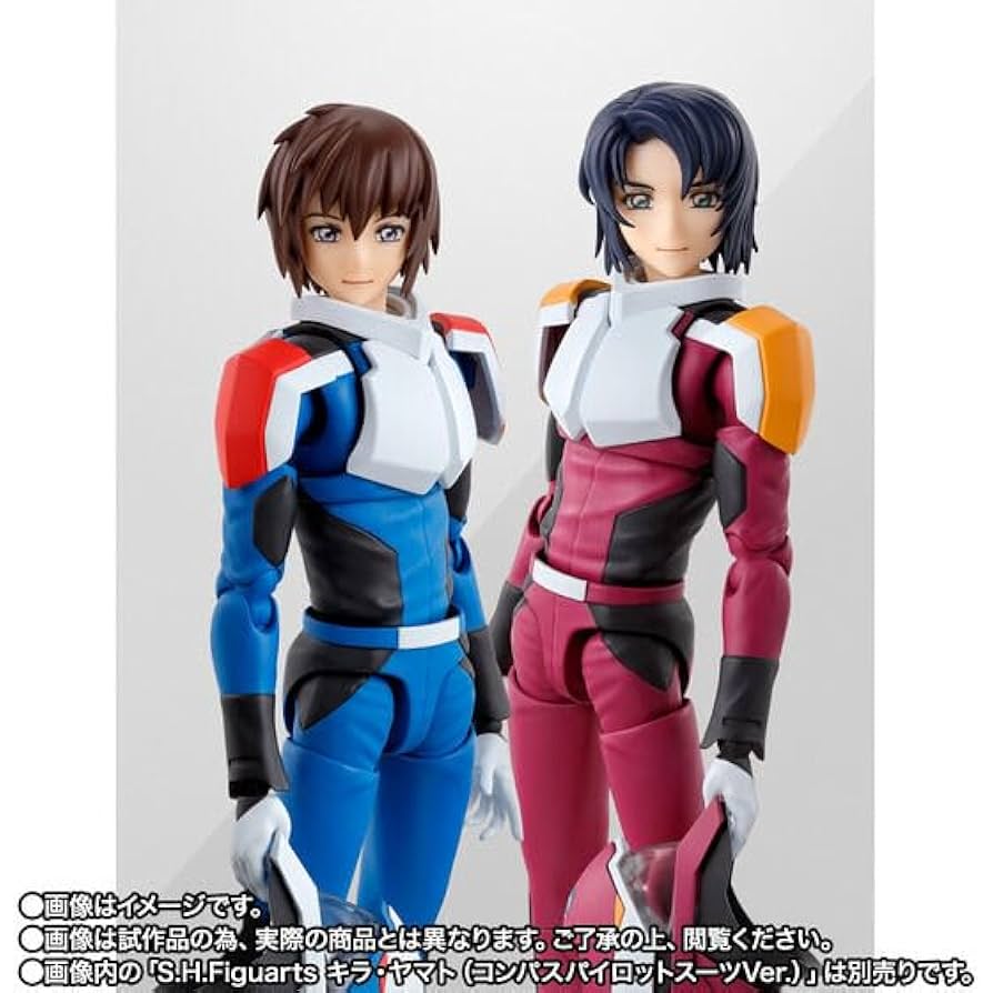 S.H.フィギュアーツ　アスラン・ザラ (コンパスパイロットスーツVer.) Amazon.co.jp: S.H.Fig uarts アスラン・ザラ（コンパス
