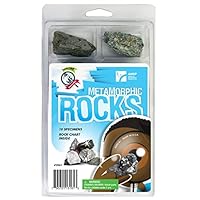 Algopix Similar Product 5 - American Educational Explore with Me