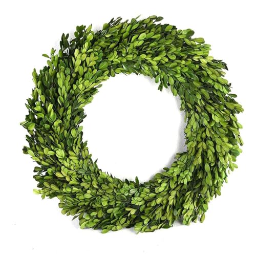 Boxwood Wreath 12 inch Preserved Nature Boxwood Wreath Home Decor Stay Fresh for Years for Door Wall Window Party Décor Spring Summer Fresh Green Wreath