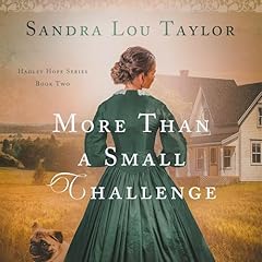 『More Than a Small Challenge』のカバーアート