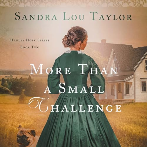 More Than a Small Challenge Audiolivro Por Sandra Lou Taylor capa
