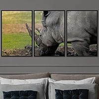 3 Piece Framed Canvas Wall Art Wild Animals Dramatic Hallway Canvas Prints Home Artwork Decoration for Living Room,Bedroom - 16