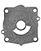 Sierra Outer Plate, Water Pump Base 18 18-3521