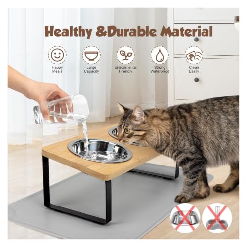 Cuenco elevado para gatos con inclinación de 15° que evita el acné 5